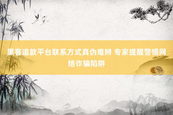 黑客追款平台联系方式真伪难辨 专家提醒警惕网络诈骗陷阱